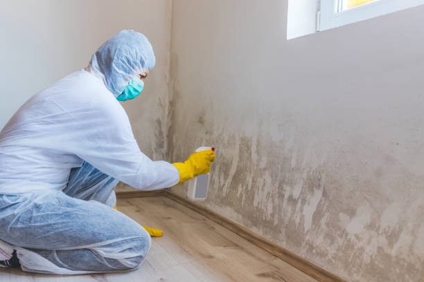 Licensed Bathroom Mold Removal service in Roosevelt, NJ - WQB Mold Removal
