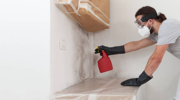 Professional Bathroom Mold Removal technician working in Roosevelt, NJ