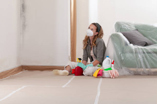 Reliable Bathroom Mold Removal contractor in Roosevelt, NJ by WQB Mold Removal